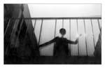 aracna