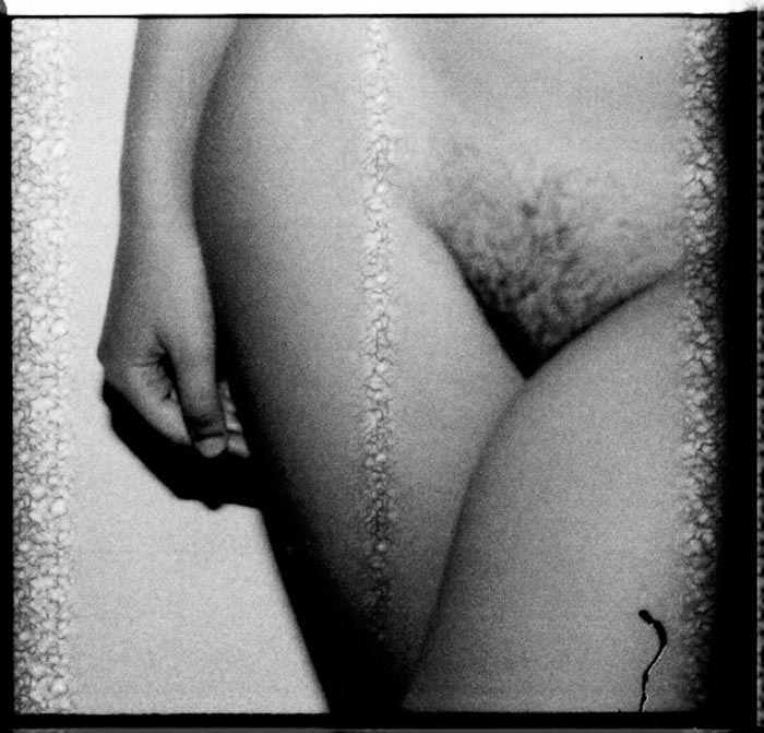 pubis1-2 copy