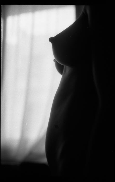 seins3