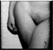 pubis1-2 copy