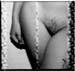 pubis2 copy