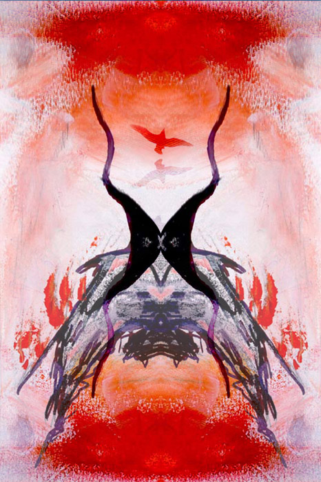 raven copy3