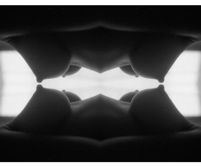 volupte3