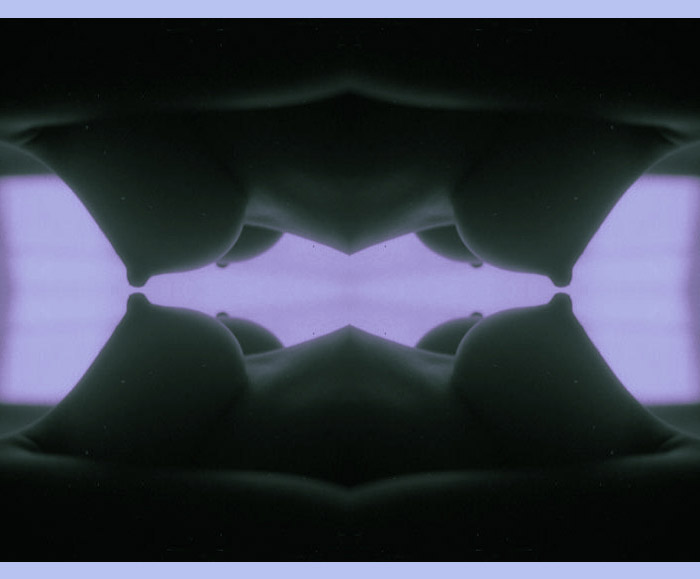 volupte4