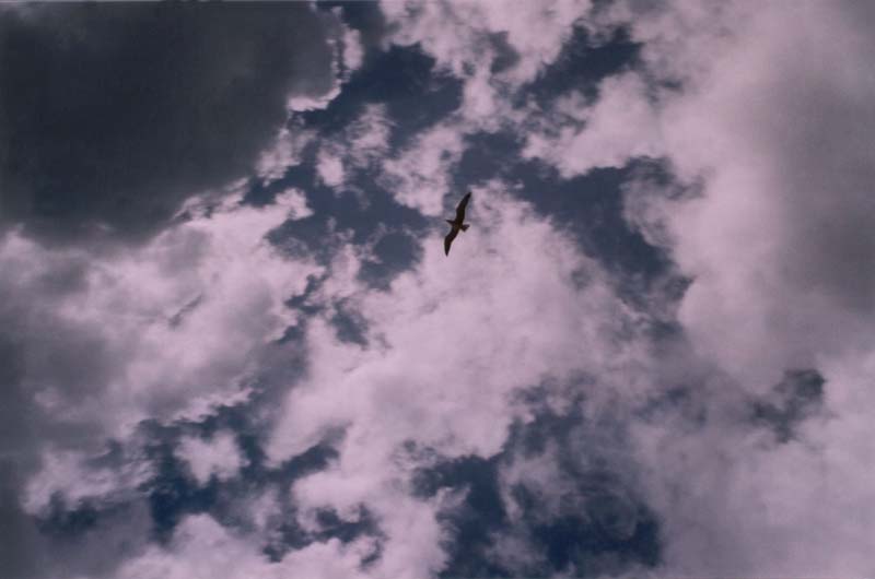 cloud2